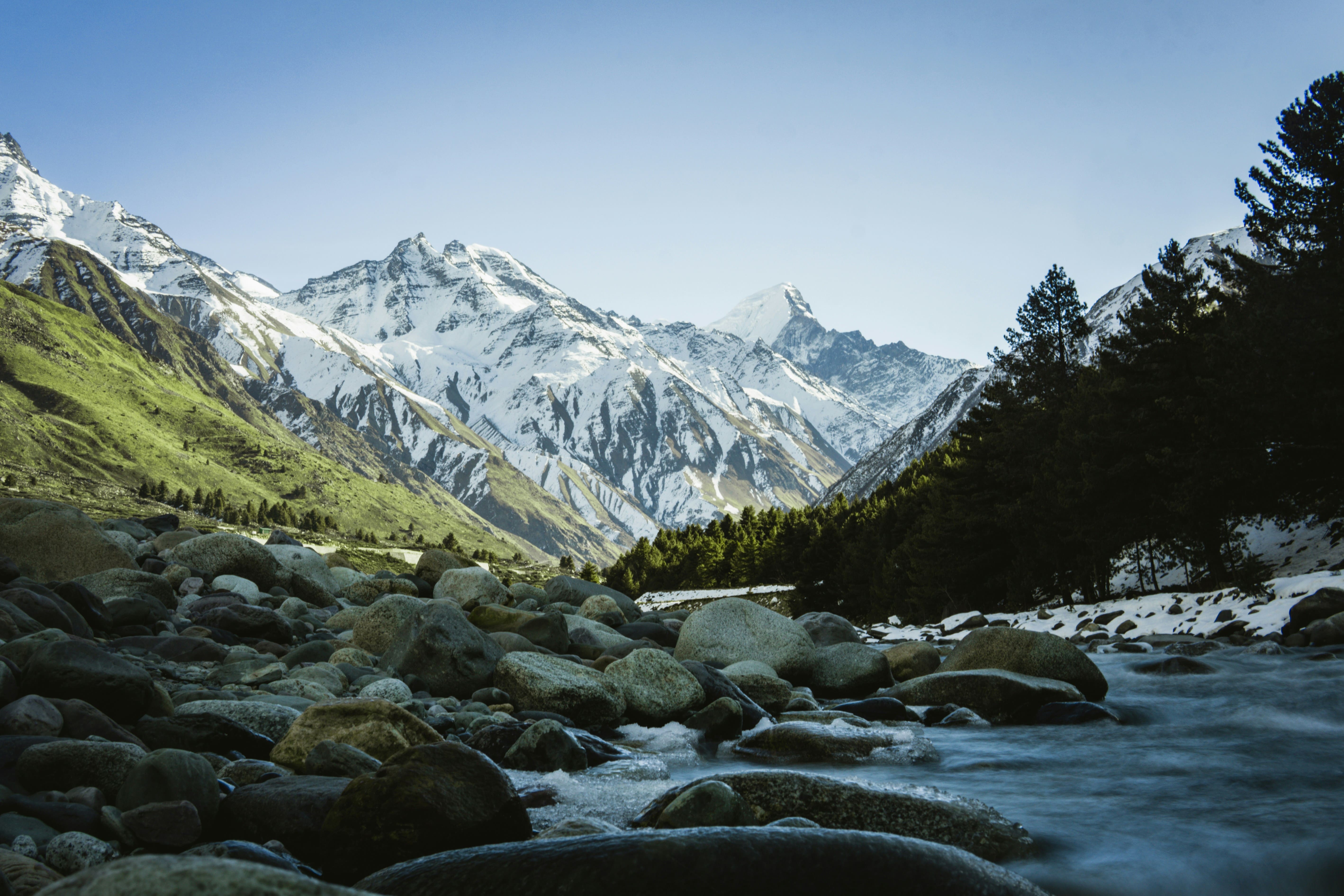 Pure Himalayan Products